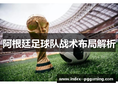 阿根廷足球队战术布局解析