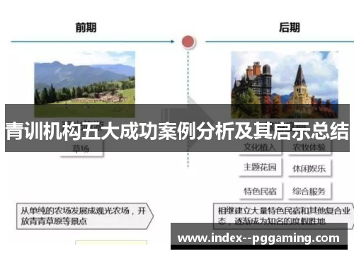 青训机构五大成功案例分析及其启示总结