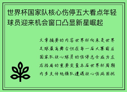 世界杯国家队核心伤停五大看点年轻球员迎来机会窗口凸显新星崛起